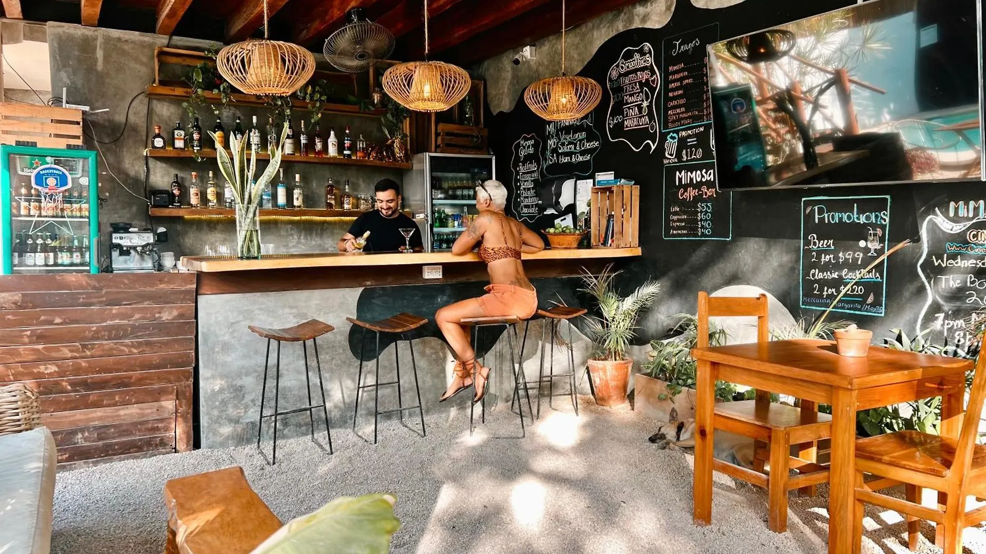 Hostel Mimosa Tulum
